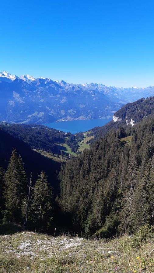 Chalet Lilo 2 Zimmer Top Mountain View Beatenberg Exterior foto
